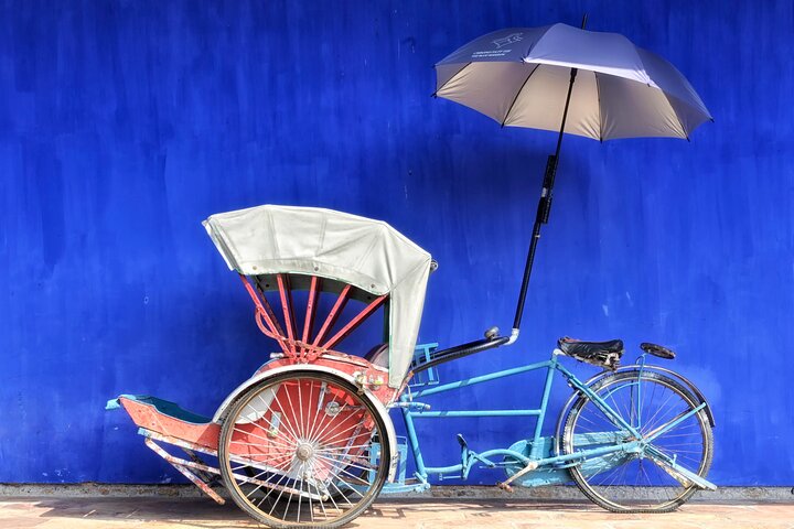 Penang Half-day City Tour with Trishaw Ride & Upside Down Museum