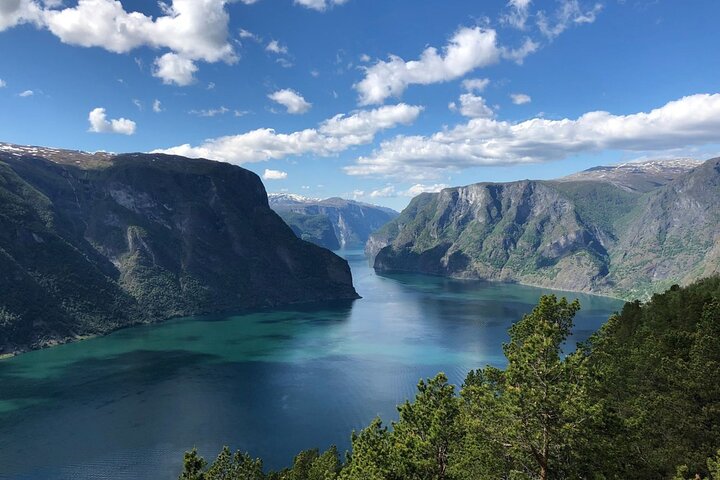 Flam Railway, Nærøyfjorden Cruise and Stegastein Viewpoint