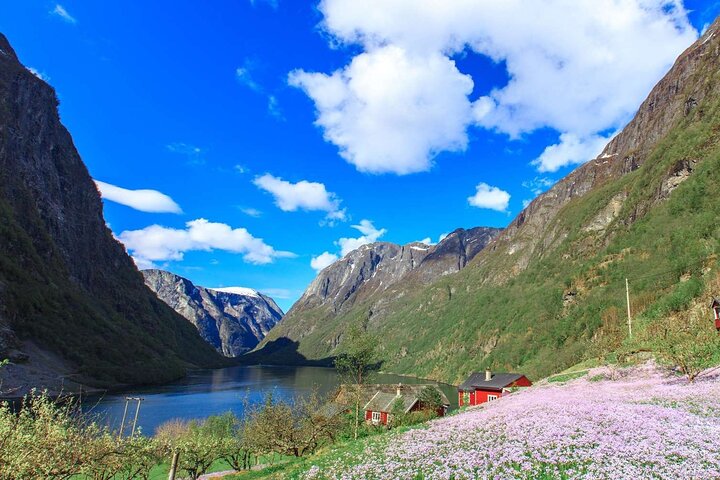 Flam Railway, Nærøyfjorden Cruise and Stegastein Viewpoint