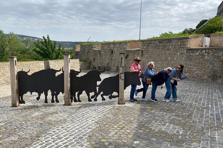 Private Pamplona Day Trip from San Sebastian