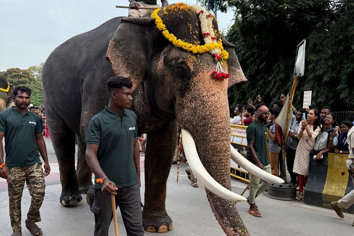 Bengaluru To Mysuru Day Tour With Lunch & Entrance Ticket