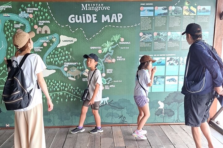 Bintan Mangrove and Fireflies Tour