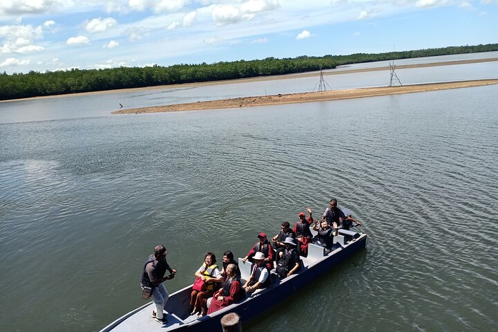 Bintan Mangrove and Fireflies Tour