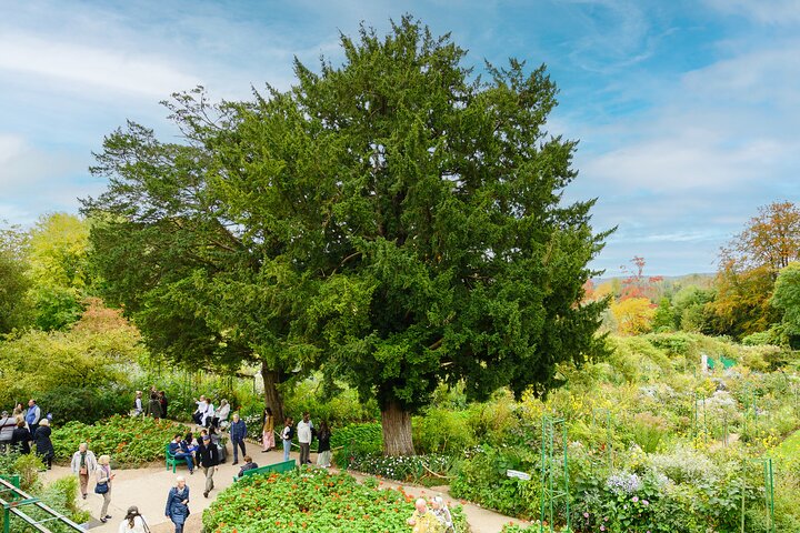 Monet’s House & Gardens Giverny Small Group Tour from Paris
