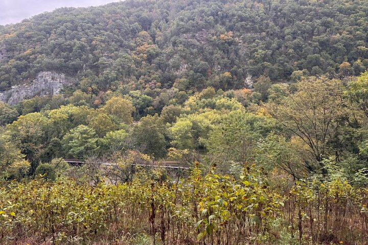Harpers Ferry and National Museum of Civil War Medicine Tour