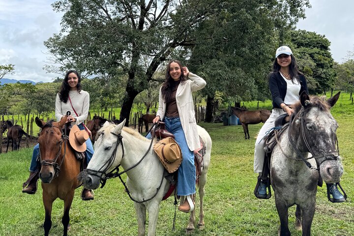 Epic Cloud Forest Horseback Riding Adventure in Boquete