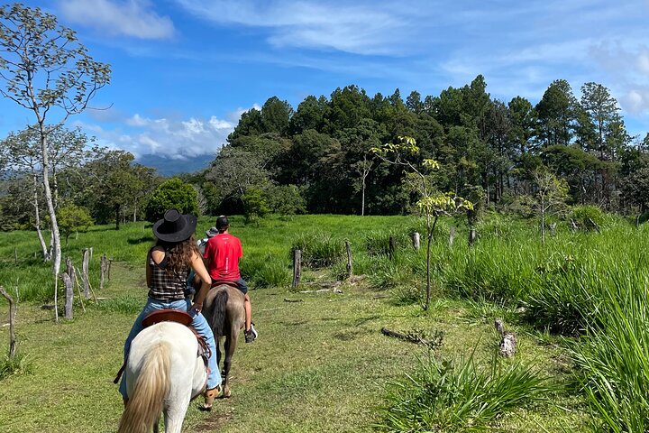 Epic Cloud Forest Horseback Riding Adventure in Boquete