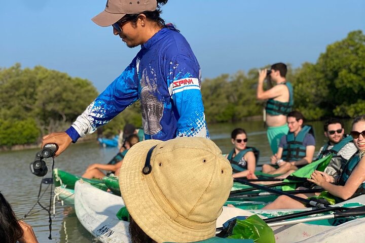 Kayak Mangroves Sunrise Experience