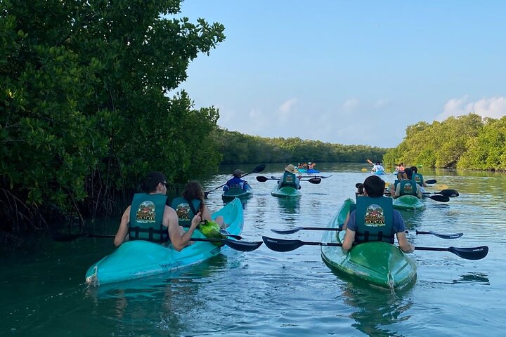 Kayak Mangroves Sunrise Experience