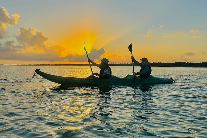 Kayak Mangroves Sunrise Experience