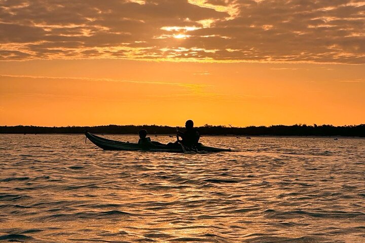 Kayak Mangroves Sunrise Experience