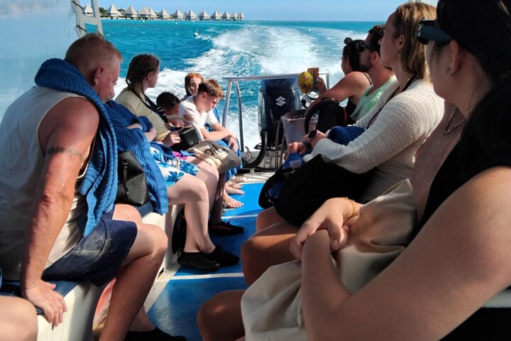 Philotours - Master Island Turtle Adventure for Cruisers