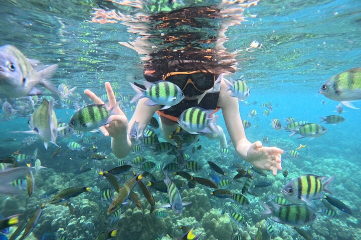 Koh Lipe Unseen 7 Islands Day Tour by Private Longtail Boat