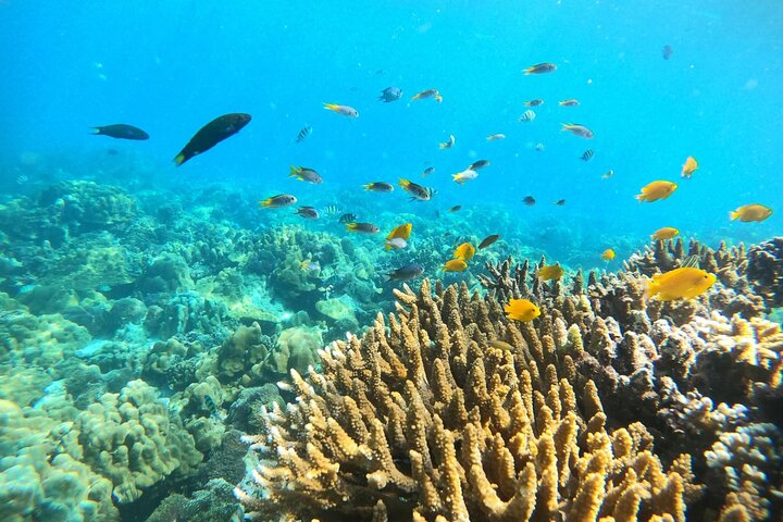 Koh Lipe Unseen 7 Islands Day Tour by Private Longtail Boat