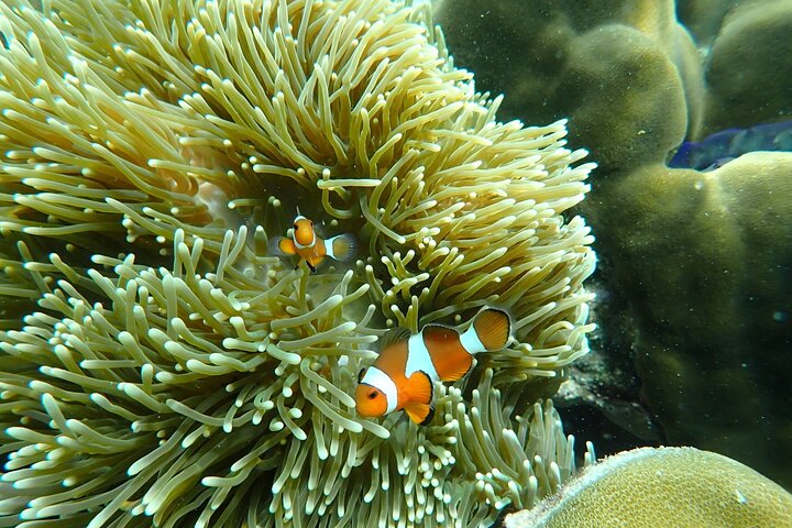 Koh Lipe Unseen 7 Islands Day Tour by Private Longtail Boat