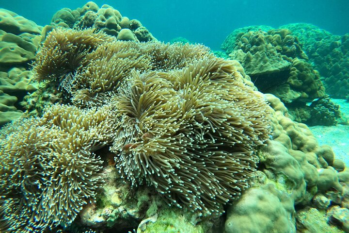 Koh Lipe Unseen 7 Islands Day Tour by Private Longtail Boat