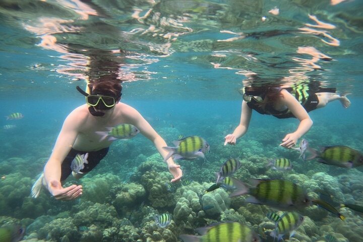 Koh Lipe 4 Islands Snorkeling and Sunset by Longtail Boat