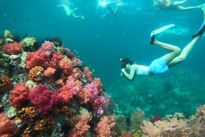 Koh Lipe 4 Islands Snorkeling and Sunset by Longtail Boat