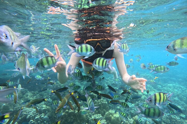 Koh Lipe 4 Islands Snorkeling and Sunset by Longtail Boat