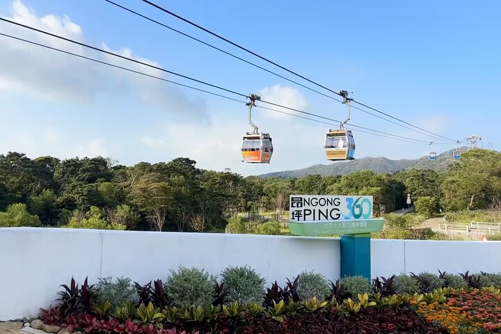 Lantau Island: Big Buddha, Crystal Cabin Cable Car & Tai O Pickup