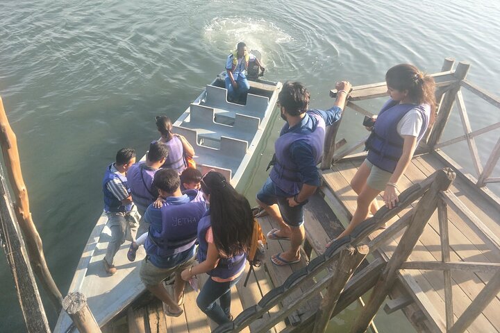 Bintan Mangrove and Fireflies Tour