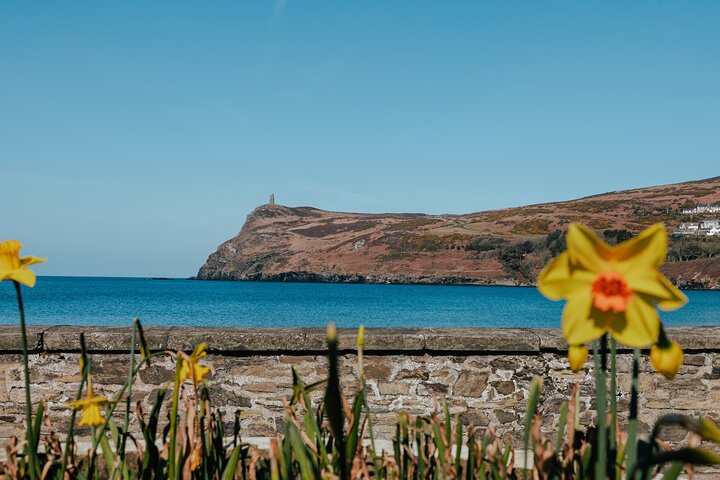 Taste of the Isle of Man for Small Group Sightseeing Tour
