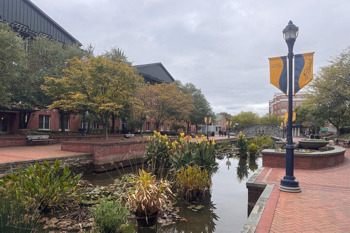 Harpers Ferry and National Museum of Civil War Medicine Tour