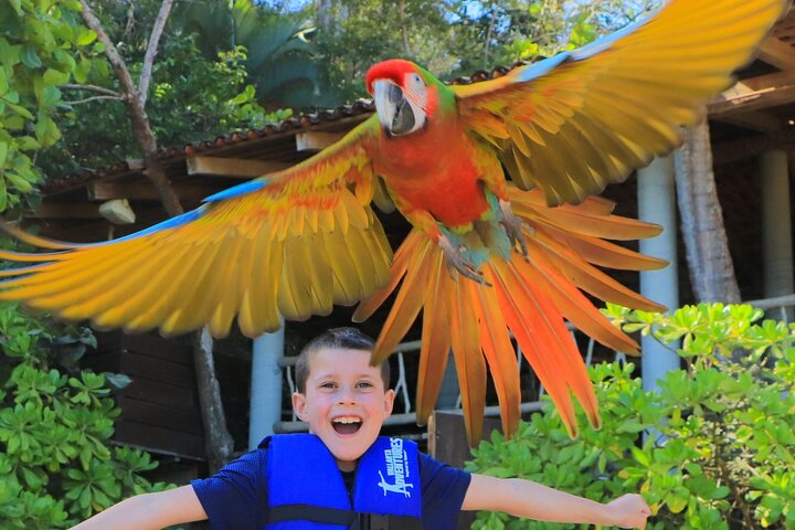 Puerto Vallarta Las Caletas, Adventure Park & Lunch with Open Bar