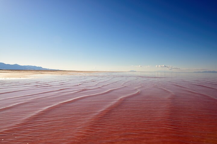 Pink Lake & Giant Salt Crystals – Great Salt Lake Adventure