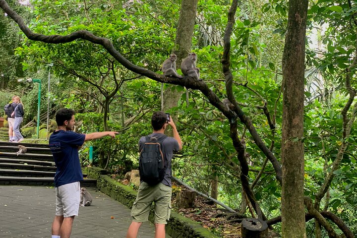 All-Inclusive Ubud Customized Private Tour