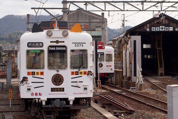 Wakayama: Cat Stationmaster Adventure on the Kishigawa Line