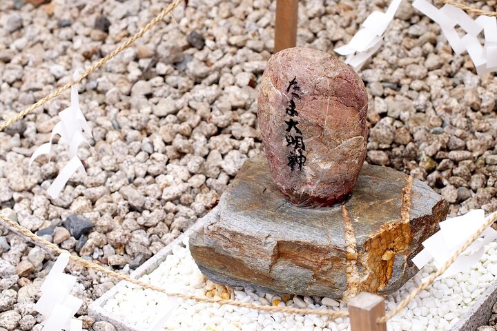 Wakayama: Cat Stationmaster Adventure on the Kishigawa Line