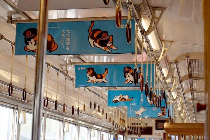 Wakayama: Cat Stationmaster Adventure on the Kishigawa Line