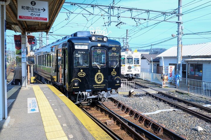 Wakayama: Cat Stationmaster Adventure on the Kishigawa Line
