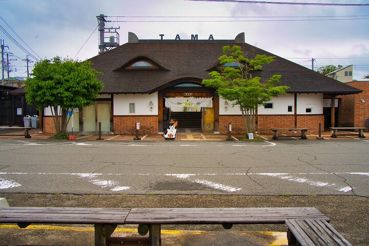 Wakayama: Cat Stationmaster Adventure on the Kishigawa Line