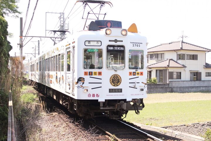 Wakayama: Cat Stationmaster Adventure on the Kishigawa Line