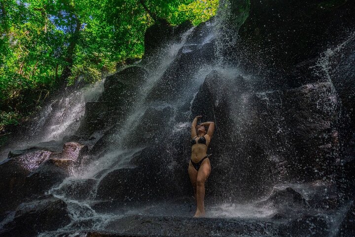 All-Inclusive Ubud Customized Private Tour