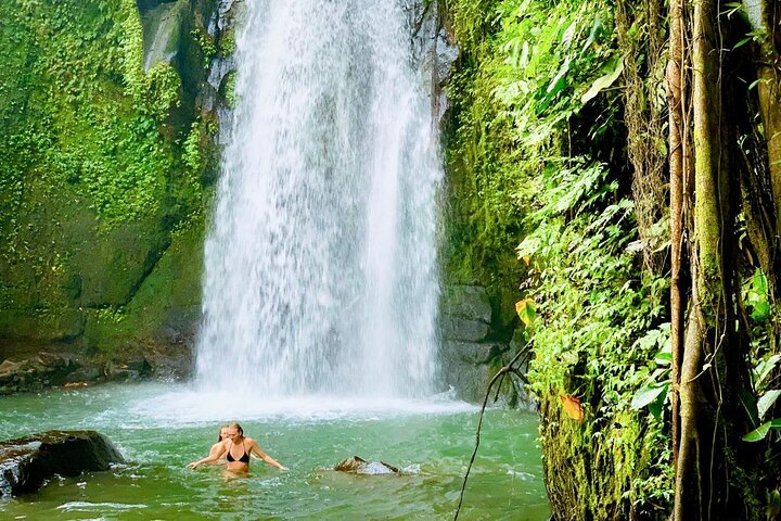 All-Inclusive Ubud Customized Private Tour