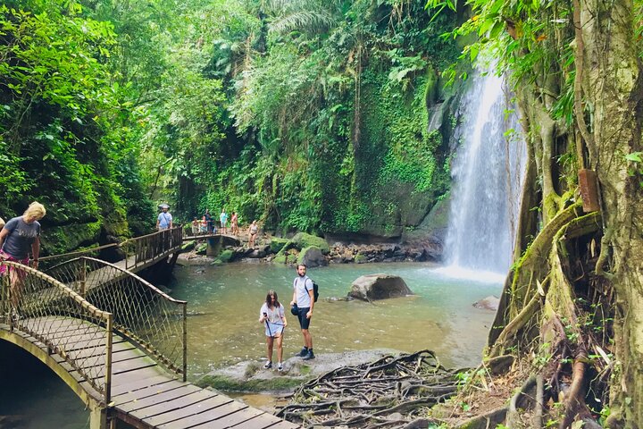 All-Inclusive Ubud Customized Private Tour