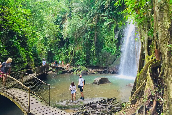 Discover The Best of Ubud: All-Inclusive and Private Guided Tour