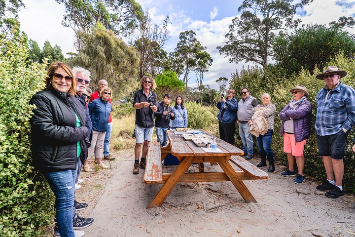 All Inclusive Bruny Island Day Tour Plus Guided Lighthouse Tour