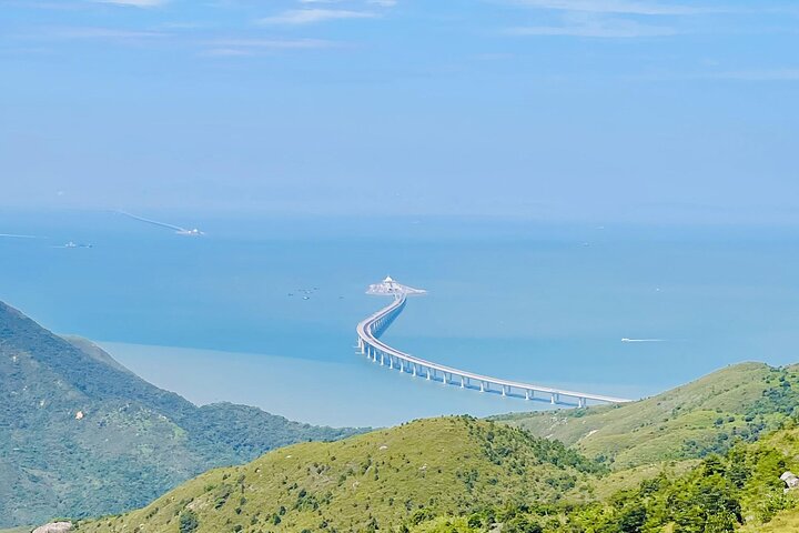 Lantau Island: Big Buddha, Crystal Cabin Cable Car & Tai O Pickup