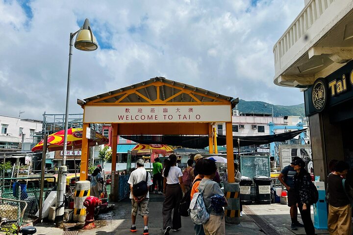 Lantau Island: Big Buddha, Crystal Cabin Cable Car & Tai O Pickup
