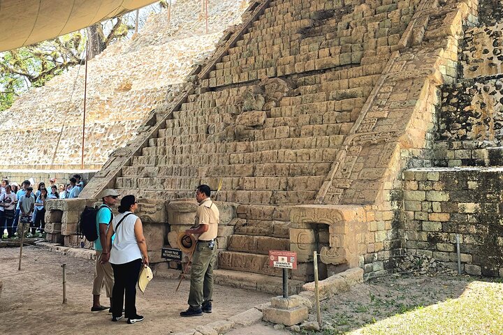 From San Pedro Sula: Mayan Ruins of Copan Day Trip