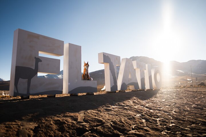 Half Day Tour to Geysers del Tatio
