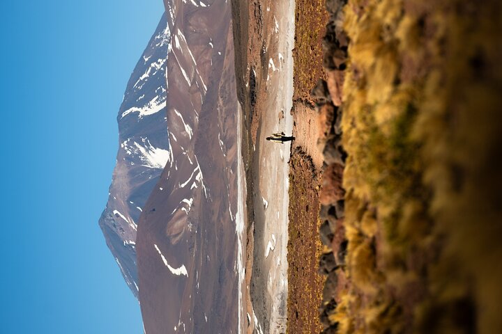 Full Day Tour to Piedras Rojas, Altiplanic Lagoons and Chaxa