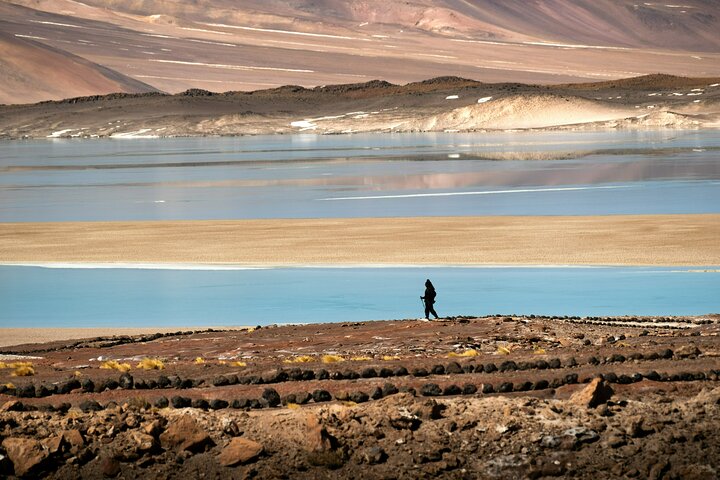 Full Day Tour to Piedras Rojas, Altiplanic Lagoons and Chaxa