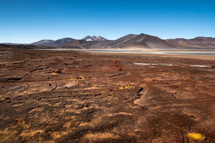 Full Day Tour to Piedras Rojas, Altiplanic Lagoons and Chaxa