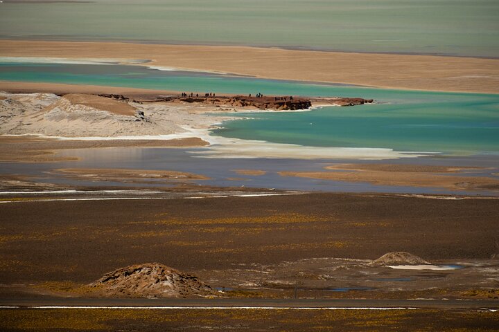 Full Day Tour to Piedras Rojas, Altiplanic Lagoons and Chaxa