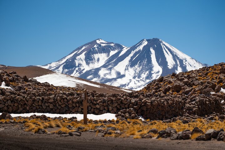 Full Day Tour to Piedras Rojas, Altiplanic Lagoons and Chaxa